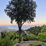 Rastoni Pelion 3* Βυζίτσα