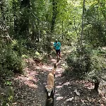 Rastoni Pelion
