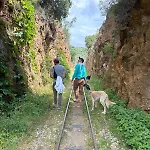Rastoni Pelion Πανσιόν 3*