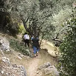 Guest house Rastoni Pelion 3*