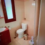 Guest house Rastoni Pelion Vizitsa