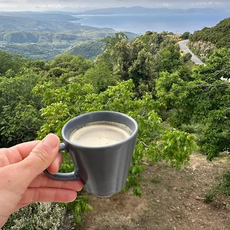 Rastoni Pelion Vizítsa