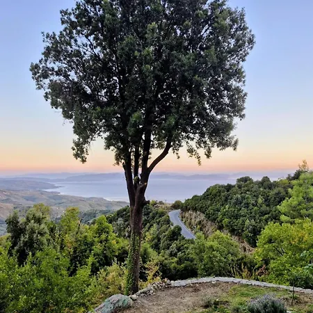 Rastoni Pelion 3* Vizíca