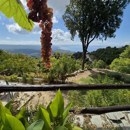 Rastoni Pelion 3*