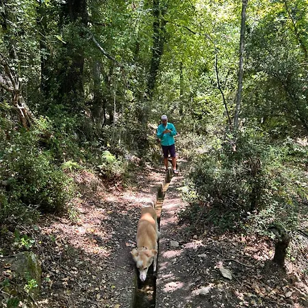 Rastoni Pelion