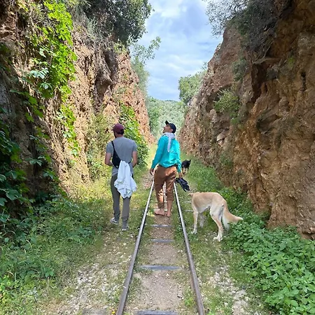 Rastoni Pelion Pensión 3*
