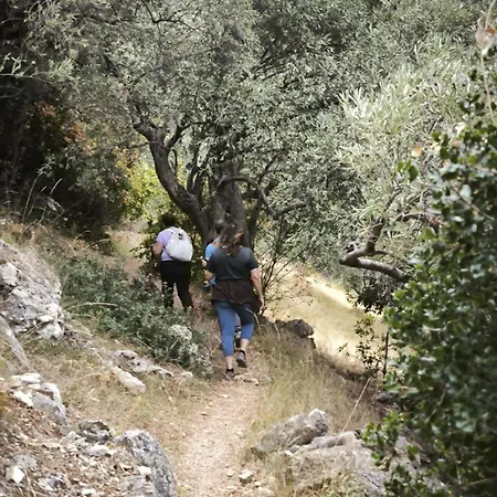 Vendégház Rastoni Pelion 3*