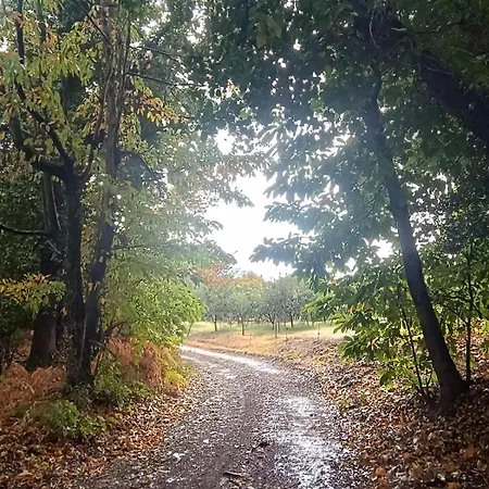 Rastoni Pelion Pensión Vizítsa