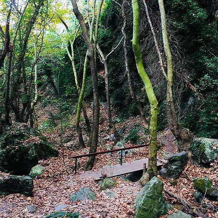 Rastoni Pelion Vizítsa