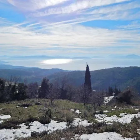 Rastoni Pelion Pensionat Vyzitsa