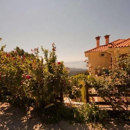Rastoni Pelion
