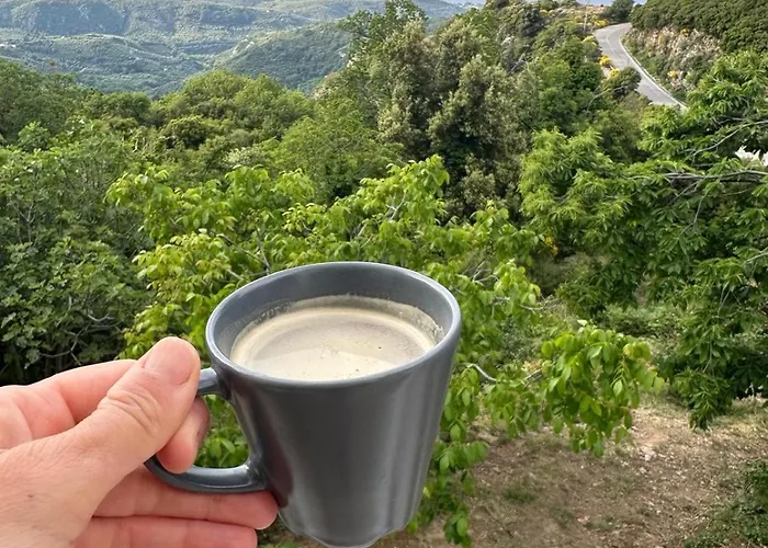 Rastoni Pelion ヴィジツァ