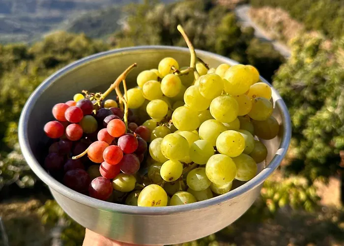 Rastoni Pelion ゲストハウス