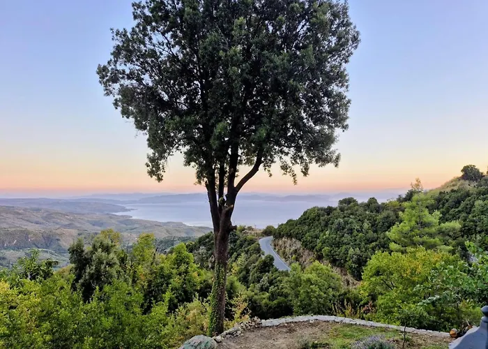 Rastoni Pelion 3* Vizitsa