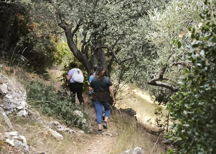 ゲストハウス Rastoni Pelion 3*