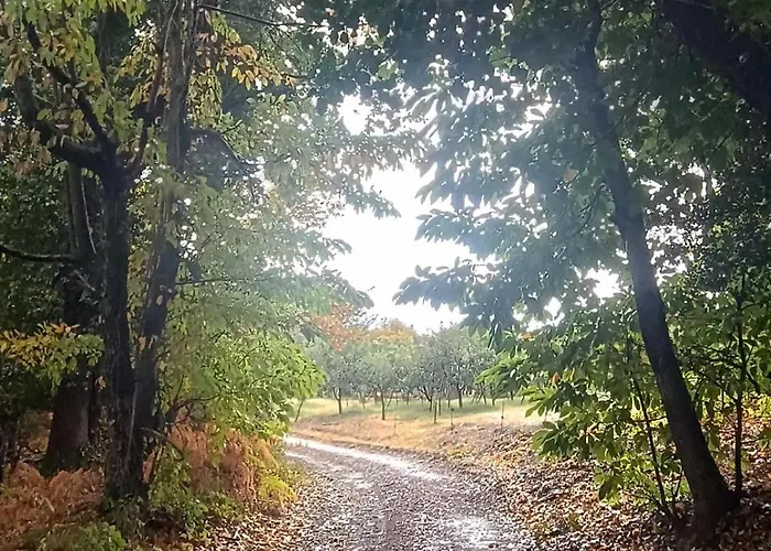 Rastoni Pelion ゲストハウス ヴィジツァ