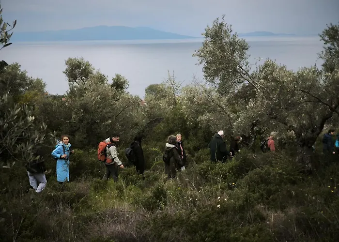 ゲストハウス Rastoni Pelion ヴィジツァ
