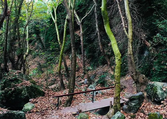 Rastoni Pelion ヴィジツァ